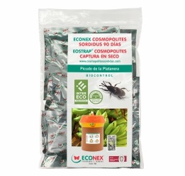 envase de 100 unidades